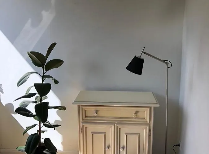 An Der Gruenen Clara Erfurt